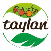 Taylan logo Taylan logo