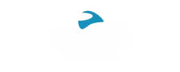 Cardo logo Cardo logo