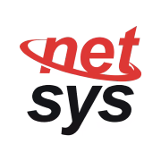 Netsys logo Netsys logo