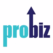 Robiz logo Robiz logo