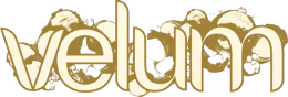 Velum logo Velum logo