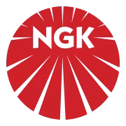 NKG logo NKG logo
